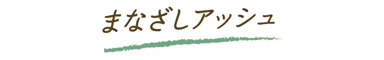 よくばりアッシュ